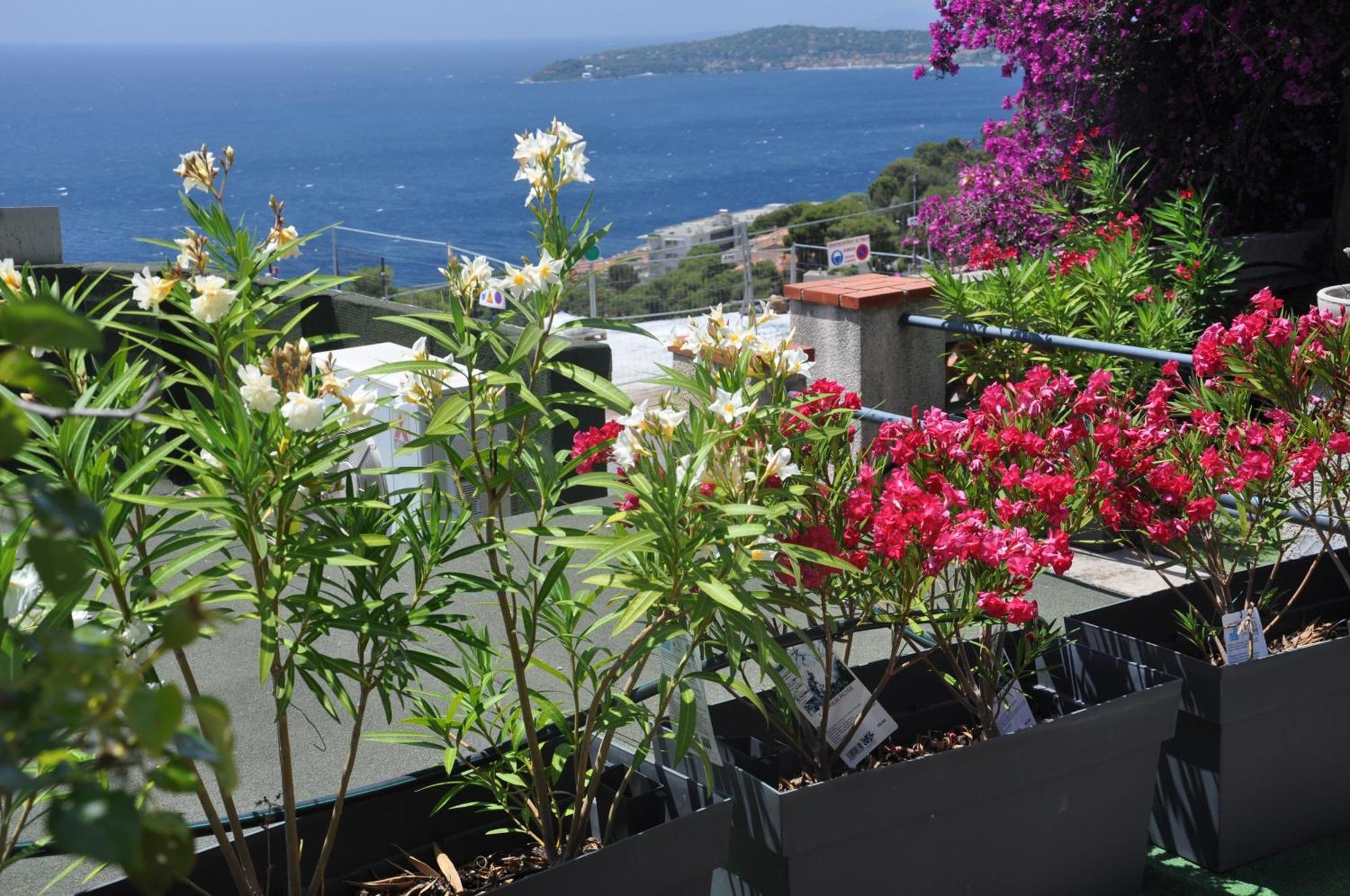 Skyline Apartments Cap-d'Ail Dış mekan fotoğraf